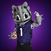 SuperFrog Football