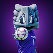 SuperFrog Soccer