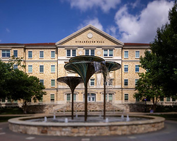 TCU frog fountain